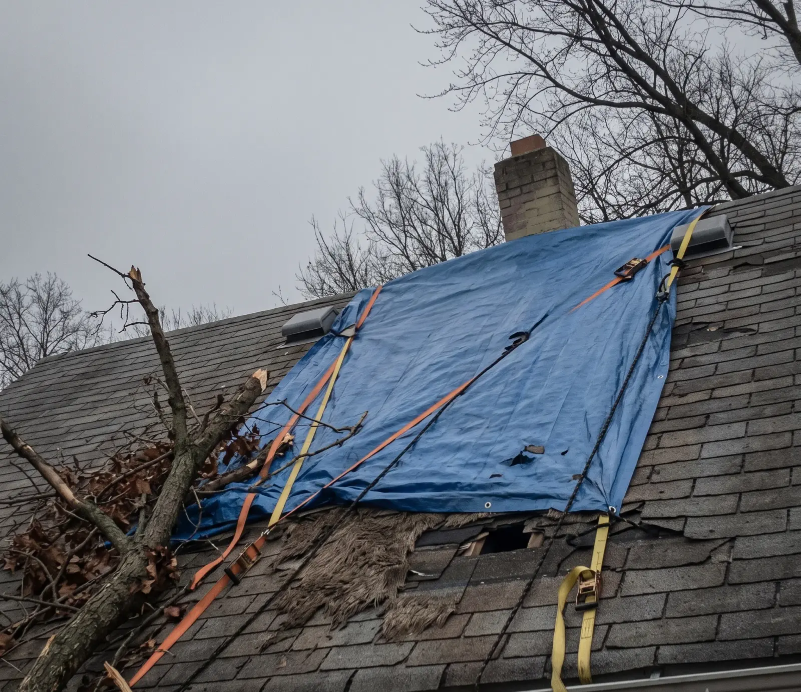 Preparing Your Nashville Home for a Hard Freeze