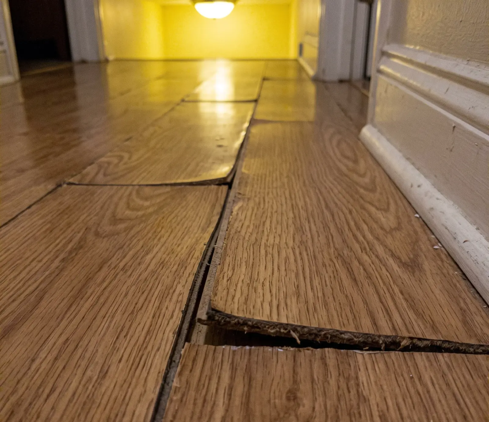 Filing a Water Damage Insurance Claim in Nashville, TN
