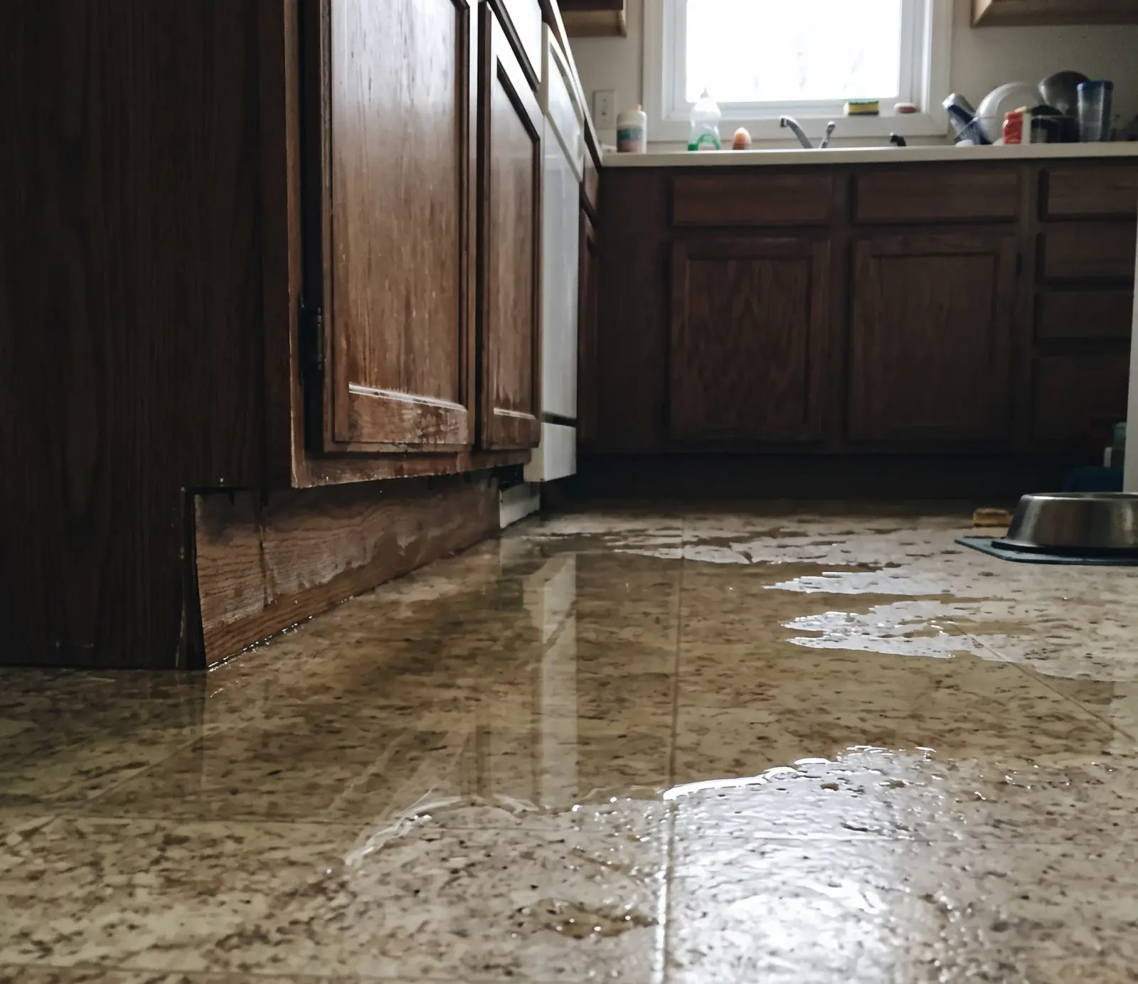 Restaurants & Food Service water damage restoration in Nashville, TN